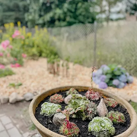 Σπίτι διακοπών Cozy Haven Near Fischland-darss-zingst Ludershagen