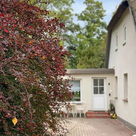 Cozy Haven Near Fischland-darss-zingst 펜션